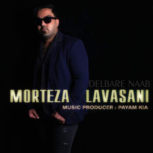 دانلود آهنگ مرتضی لواسانی دلبر ناب