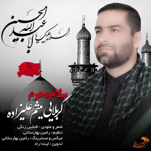 دانلود آهنگ میثم علیزاده سلام محرم