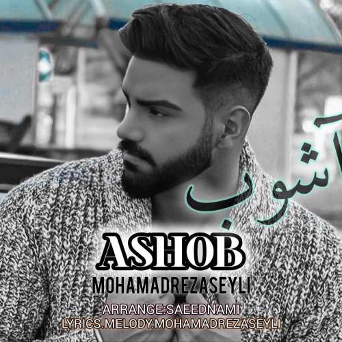 دانلود آهنگ محمدرضا سیلی آشوب