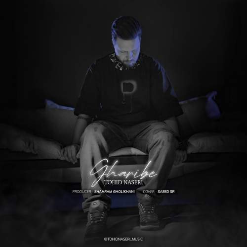 دانلود آهنگ توحید ناصری غریبه