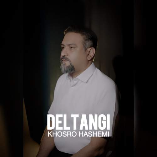 دانلود آهنگ خسرو هاشمی دلتنگی