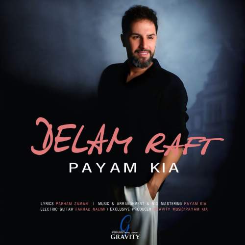 دانلود آهنگ پیام کیا دلم رفت