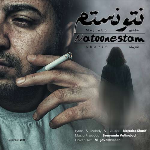 دانلود آهنگ مجتبی شریف نتونستم
