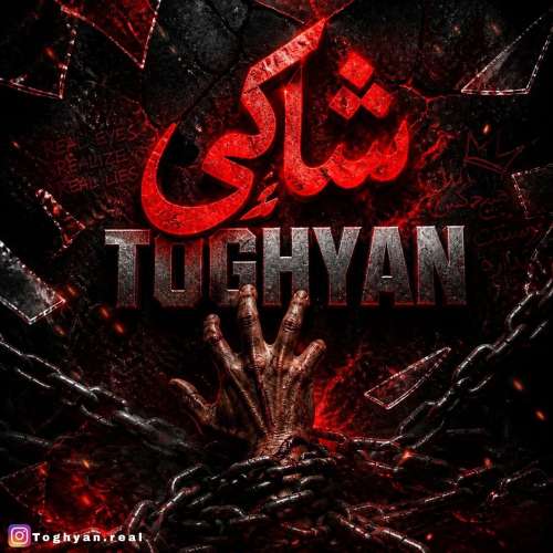 shaki toghyan 2026 10 16 23 45